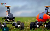 Robot làm ruộng giúp giảm đến 95% việc sử dụng thuốc trừ sâu