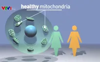 Hy Lạp chào đón em bé được sinh ra từ ADN của 3 người