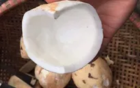 Maroc siết chặt kiểm tra mặt hàng cơm dừa nhập khẩu