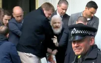 Lý do Ecuador cho phép bắt giữ ông chủ WikiLeaks