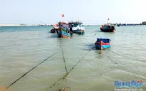 Quảng Ngãi giảm tàu khai thác thủy sản ven bờ