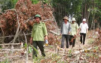 Nguy cơ cháy rừng ở Phú Yên đang ở cấp cực kỳ nguy hiểm