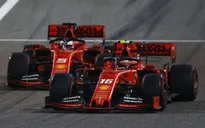 F1: Toto Wolff thông cảm với tình cảnh hiện tại của Ferrari