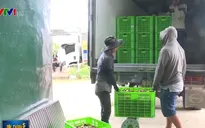 15% hợp tác xã nông nghiệp ứng dụng công nghệ cao