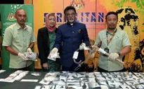 Malaysia bắt giữ 2 người Việt nghi săn trộm hổ