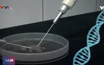 Mỹ: Bắt đầu sử dụng phương pháp chỉnh sửa gen điều trị ung thư