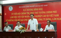 Đẩy nhanh công việc sau cổ phần hóa ngành cao su