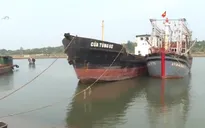 Quảng Trị: Ngư dân không thể ra khơi do cửa biển bị bồi lấp