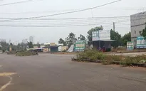 Thủ tướng yêu cầu ổn định thị trường đất đai tại Đà Nẵng và Quảng Nam