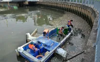 Bắt bớt cá trên kênh Nhiêu Lộc - Thị Nghè để cân bằng sinh thái
