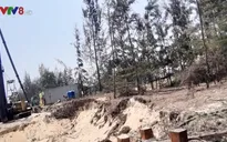 Hơn 3ha rừng phòng hộ tại Đà Nẵng bị chặt phá