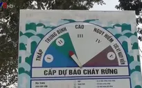 Đắk Lắk chủ động phòng chống cháy rừng mùa khô