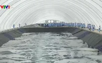 Khu sản xuất tôm công nghệ cao đi vào hoạt động - Cơ hội lớn để ngành tôm bứt phá