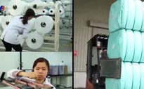 Kinh tế tư nhân là một động lực quan trọng của nền kinh tế