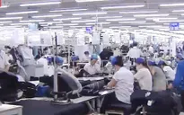 Hơn 30% lao động nước ngoài ở Việt Nam chưa được đóng BHXH bắt buộc