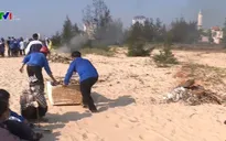 Quảng Bình ra quân bảo vệ môi trường biển