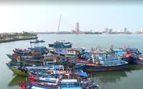 Gấp rút tăng cường nhiều biện pháp khắc phục thẻ vàng thủy sản của EU
