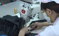 Giá bông nhập khẩu giảm nhẹ