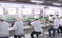 Bất động sản khu công nghiệp còn nhiều dư địa để tiếp tục tăng trưởng