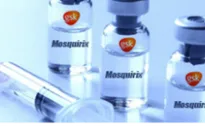 Chuẩn bị thử nghiệm vaccine sốt rét