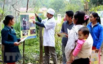 Việt Nam đạt kết quả cao trong phòng chống sốt rét