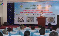 Ngăn chặn việc thả tôm giống trôi nổi