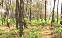 Quảng Bình phòng chống cháy rừng