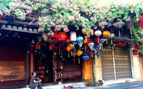 Hội An đẹp nao lòng khi trăm hoa khoe sắc chào hè