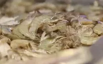 Mâm cơm 90.000 đồng