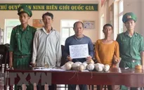 Phá thành công chuyên án dùng vật liệu nổ khai thác tận diệt hải sản