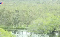 Vườn quốc gia U Minh Thượng chủ động phòng chống cháy rừng