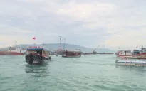 Khánh Hòa tăng cường chống các hành vi “chặt, chém” du khách