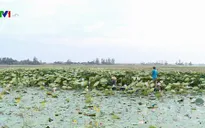 Đồng Tháp đón nhận cái mới để phát triển