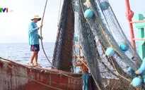 Còn nhiều thách thức trong việc khắc phục thẻ vàng