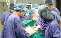 Bệnh viện tuyến tỉnh thực hiện thành công ca ghép thận không cùng huyết thống và nhóm máu