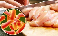 Séc lại phát hiện thịt gà nhập khẩu nhiễm khuẩn salmonella