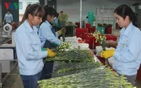 Hơn 43.000 doanh nghiệp thành lập mới trong 4 tháng đầu năm