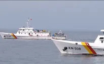 Cần nhiều nỗ lực hơn để khắc phục thẻ vàng thủy sản