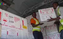 WHO cung cấp vaccine phòng bệnh tả cho Mozambique