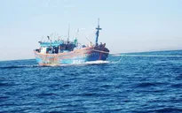 BĐBP tỉnh Quảng Ninh cứu nạn tàu cá gặp nạn