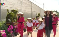 Trải nghiệm du lịch nông nghiệp sạch ở An Giang
