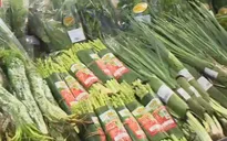 Thủ tướng biểu dương các siêu thị hạn chế sử dụng nilon