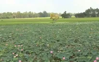 Nghị quyết 120 sau hơn 1 năm: Còn nhiều việc cần làm để đưa nghị quyết đi xa hơn