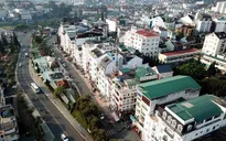 Đà Lạt: Bê tông lấn lướt, rừng lùi sâu