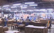 Nỗ lực vượt khó, ngành nông nghiệp duy trì đà tăng trưởng khá trong quý I