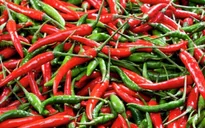 Chất cay trong quả ớt có thể làm chậm quá trình ung thư
