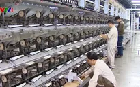 Xem xét đưa một số dự án ra khỏi danh sách 12 dự án thua lỗ