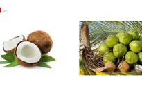 Tiềm năng bán đặc sản trên trang thương mại điện tử