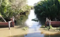 Mặn có khả năng xâm nhập sâu 40 - 50km ở ĐBSCL