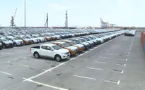Nhiều yếu tố thuận lợi thúc đẩy tăng trưởng thị trường ô tô Việt Nam năm 2020